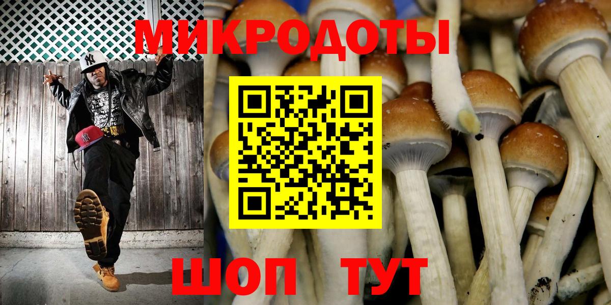 Псилоцибиновые грибы мухоморы Фрязино