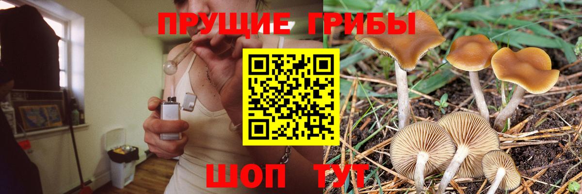 где купить наркоту  Вход с VPN  Фрязино  Галлюциногенные грибы мухоморы 